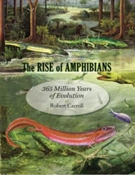 THE RISE OF AMPHIBIANS 1