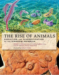 THE RISE OF ANIMALS 1