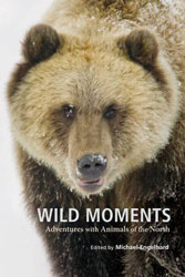 WILD MOMENTS. ADVENTURES WITH ANIMALS OF THE NORTH 1
