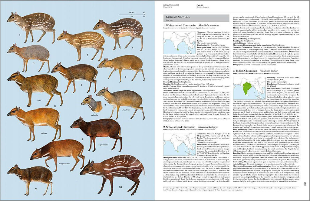 HANDBOOK OF THE MAMMALS OF THE WORLD. VOL. 2 HOOFED MAMMALS 4