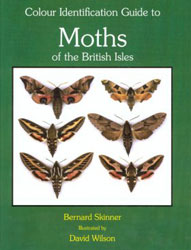 COLOUR IDENTIFICATION GUIDE TO MOTHS OF THE BRITISH ISLES 1