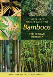 TIMBER PRESS POCKET GUIDE TO BAMBOOS 1