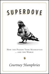SUPERDOVE. HOW THE PIGEON TOOK MANHATTAN...AND THE WORLD 1