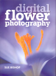 DIGITAL FLOWER PHOTOGRAPHY 1