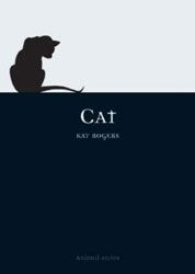 CAT 1
