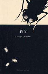 FLY 1