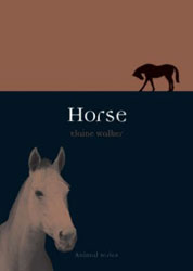 HORSE 1