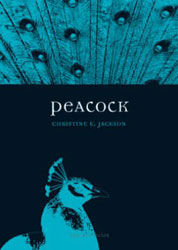 PEACOCK 1