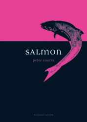 SALMON 1