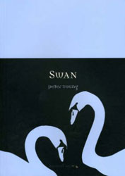 SWAN 1