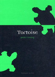 TORTOISE 1