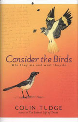 CONSIDER THE BIRDS. WHO THEY ARE AND WHAT THEY DO 1