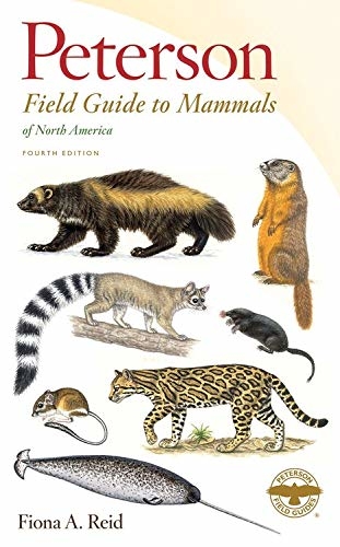 PETERSON FIELD GUIDES. MAMMALS OF NORTH AMERICA