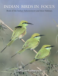 INDIAN BIRDS IN FOCUS. BIRDS OF THE INDIAN SUBCONTINENT AND THEIR HABITATS 1