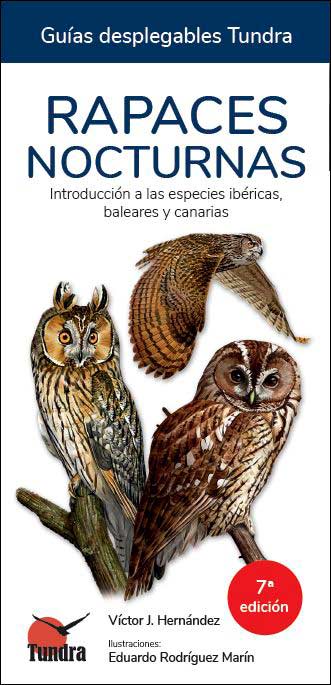 RAPACES NOCTURNAS. INTRODUCCIÓN A LAS ESPECIES IBÉRICAS, BALEARES Y CANARIAS. GUÍAS DESPLEGABLES TUNDRA 1