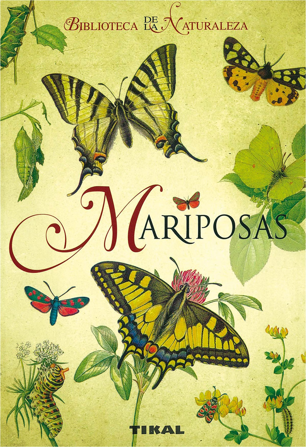 MARIPOSAS. BIBLIOTECA DE LA NATURALEZA