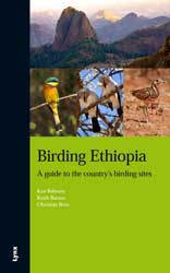 BIRDING ETHIOPIA 1