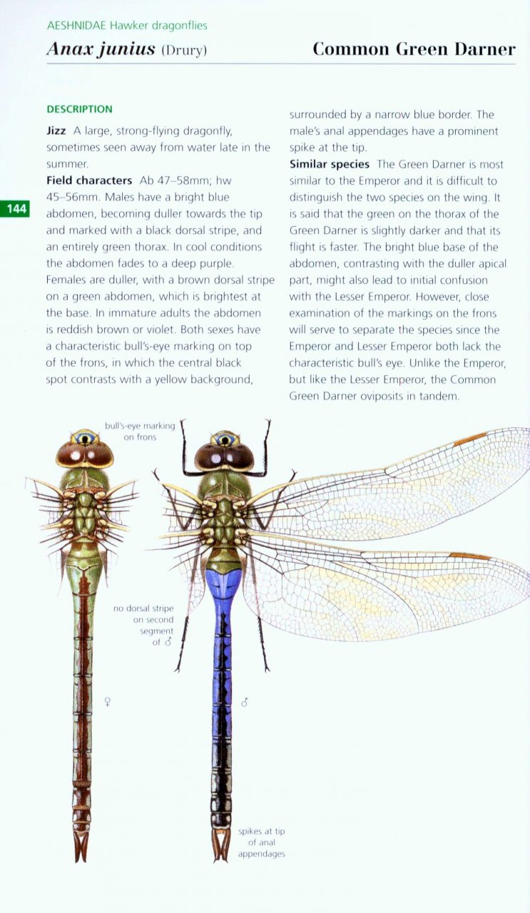 FIELD GUIDE TO THE DRAGONFLIES AND DAMSELFLIES OF GREAT BRITAIN AND IRELAND 4