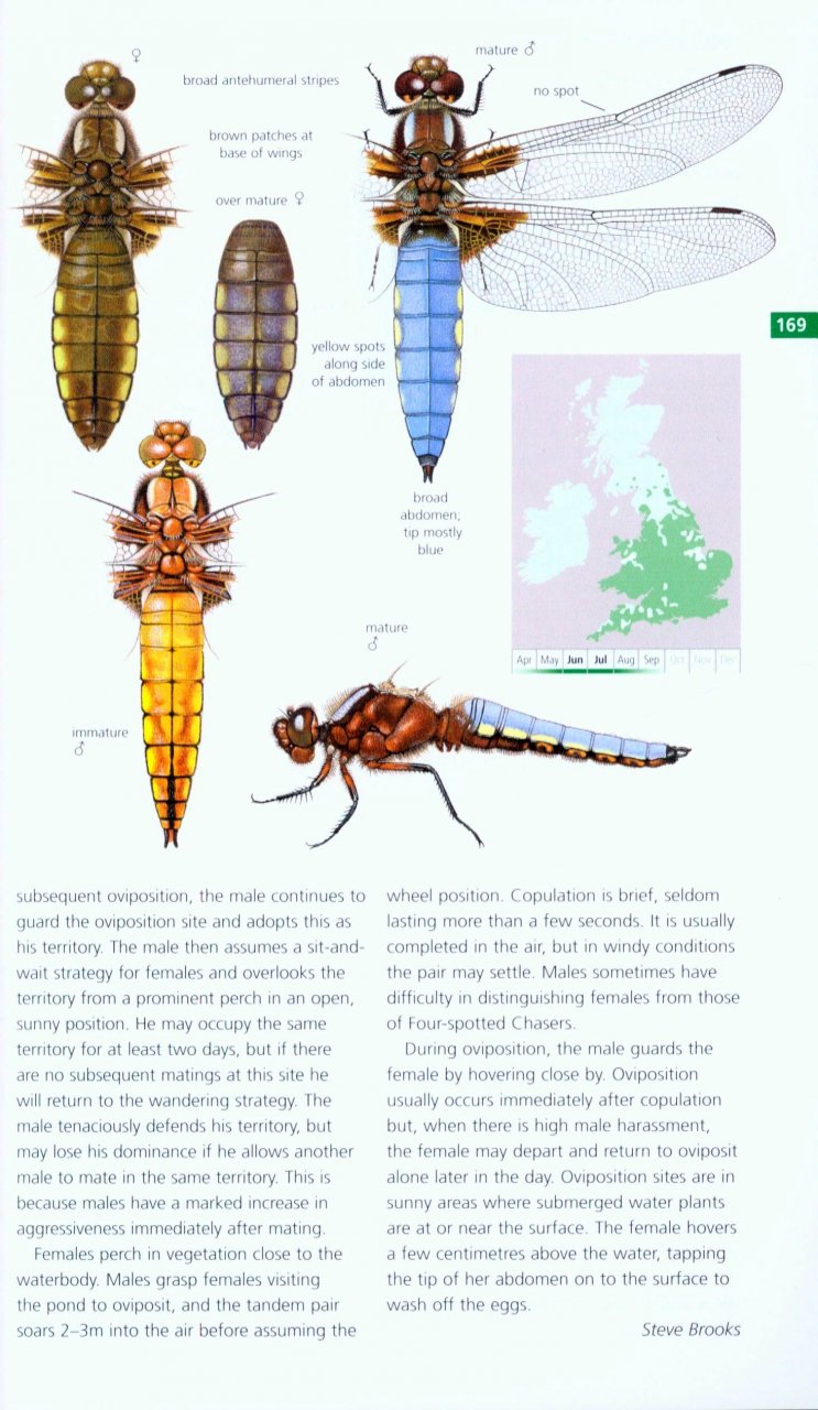 FIELD GUIDE TO THE DRAGONFLIES AND DAMSELFLIES OF GREAT BRITAIN AND IRELAND 5