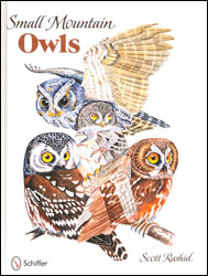 SMALL MOUNTAIN OWLS 1