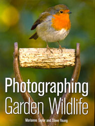 PHOTOGRAPHING GARDEN WILDLIFE 1