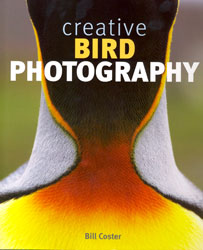CREATIVE BIRD PHOTOGRAPHY 1
