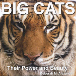 BIG CATS. THEIR POWER AND BEAUTY 1