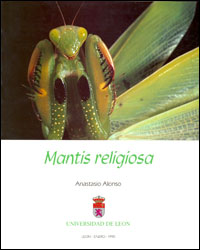 MANTIS RELIGIOSA 1