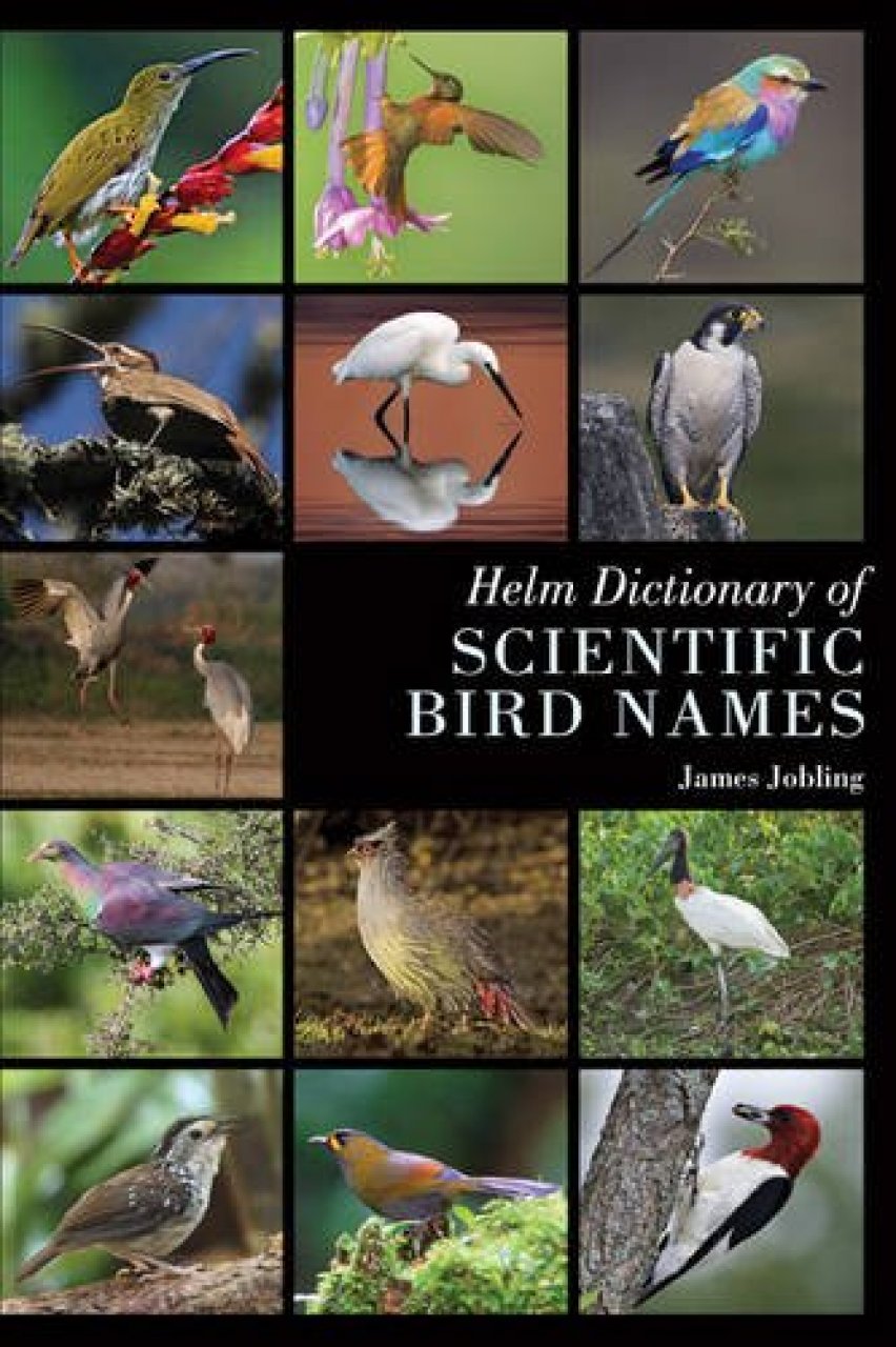 HELM DICTIONARY OF SCIENTIFIC BIRD NAMES