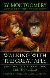WALKING WITH THE GREAT APES 1