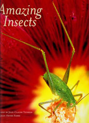 AMAZING INSECTS 1