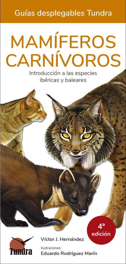 MAMÍFEROS CARNÍVOROS. INTRODUCCIÓN A LAS ESPECIES IBÉRICAS, BALEARES Y CANARIAS. GUÍAS DESPLEGABLES TUNDRA
