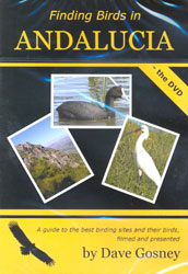 DVD FINDING BIRDS IN ANDALUCIA 1