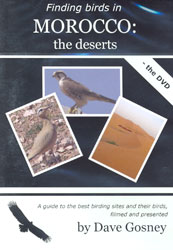 DVD FINDING BIRDS IN MOROCCO: THE DESERTS 1