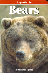 SUPERGUIDE: BEARS 1