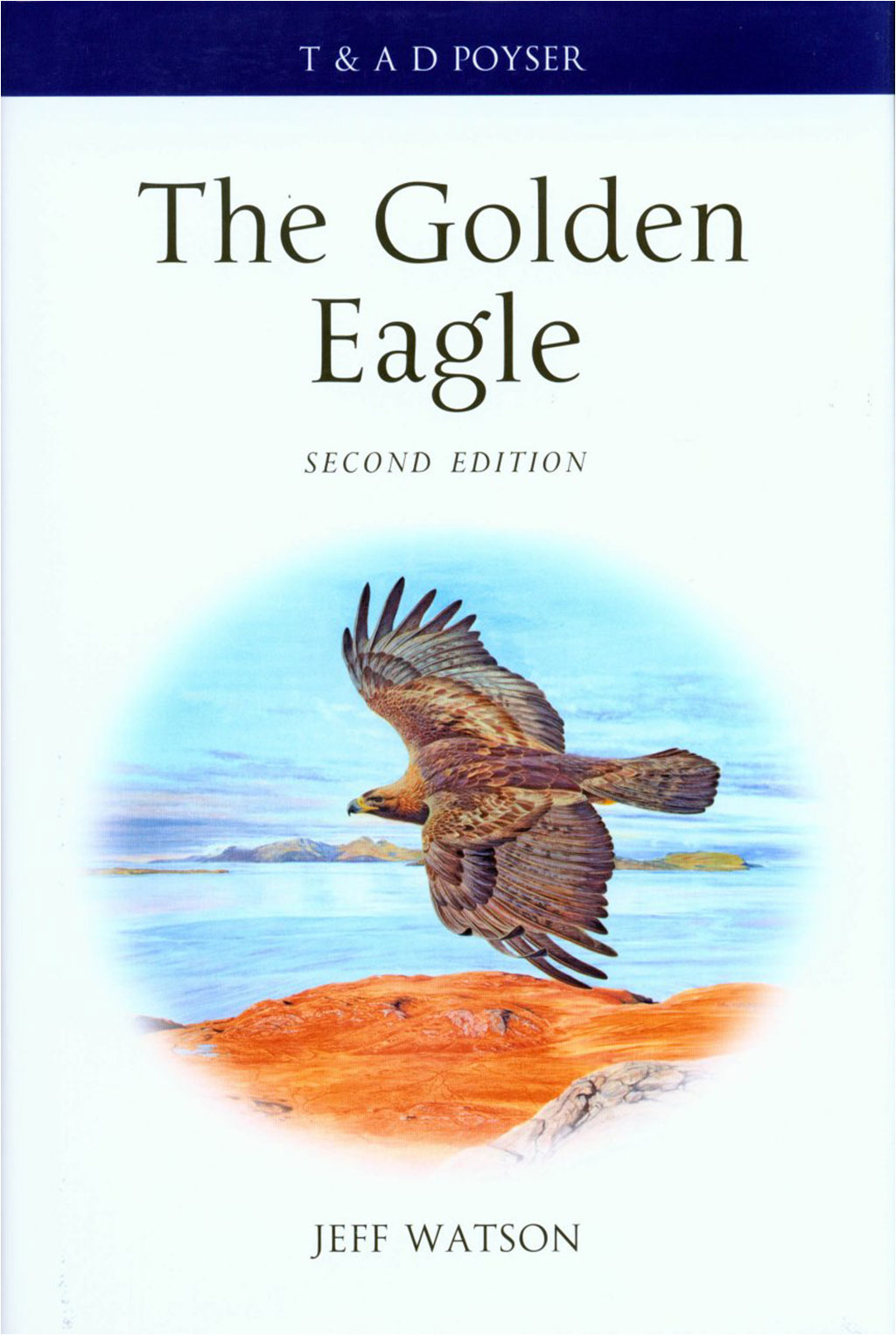 THE GOLDEN EAGLE. 1