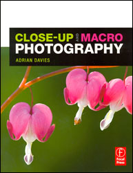 CLOSE-UP AND MACRO PHOTOGRAPHY 1
