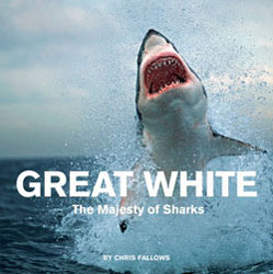 GREAT WHITE. THE MAJESTY OF SHARKS 1