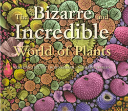 THE BIZARRE AND INCREDIBLE WORLD OF PLANTS 1