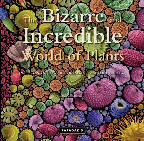 THE BIZARRE AND INCREDIBLE WORLD OF PLANTS 1