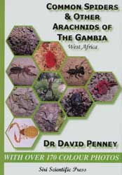COMMON SPIDERS AND OTHER ARACHNIDS OF THE GAMBIA, WEST AFRICA 1
