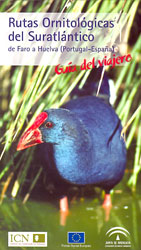 RUTAS ORNITOLÓGICAS DEL SURATLÁNTICO DE FARO A HUELVA (PORTUGAL-ESPAÑA) 1