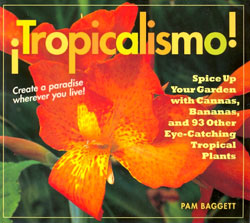 TROPICALISMO! 1