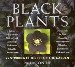 BLACK PLANTS. 75 STRIKING CHOICES FOR THE GARDEN 1