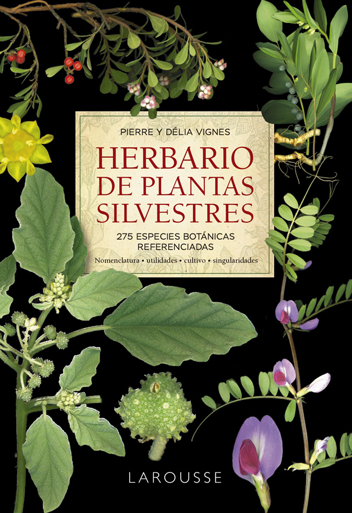 HERBARIO DE PLANTAS SILVESTRES. 275 ESPECIES BOTÁNICAS REFERENCIADAS. NOMENCLATURA, UTILIDADES, DESCRIPCIÓN, SINGULARIDADES