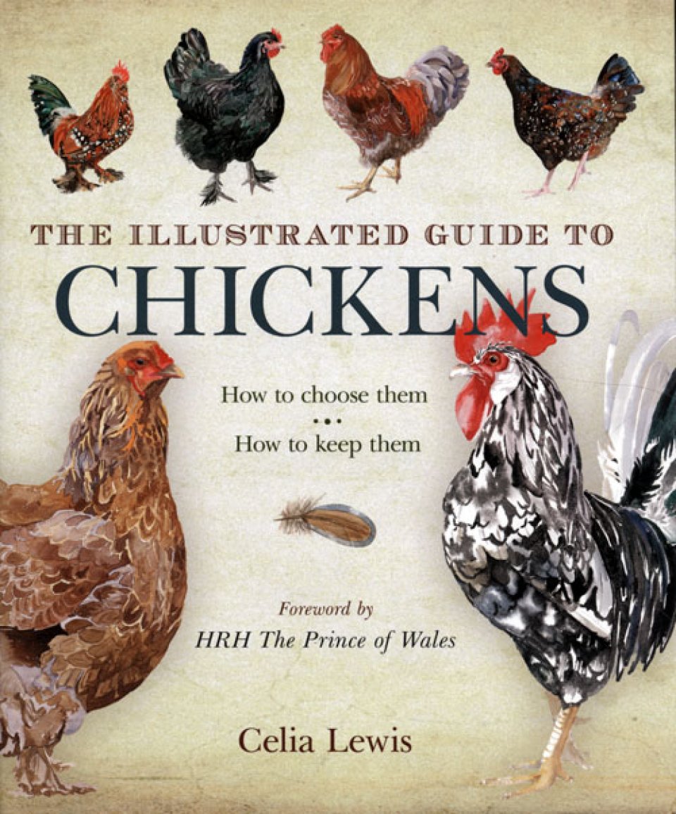 THE ILLUSTRATED GUIDE TO CHICKENS. HOW TO CHOOSE THEM, HOW TO KEEP THEM