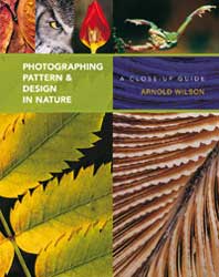PHOTOGRAPHING PATTERN AND DESIGN IN NATURE 1
