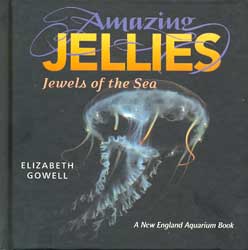 AMAZING JELLIES. JEWELS OF THE SEA 1
