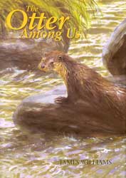 THE OTTER AMONG US 1
