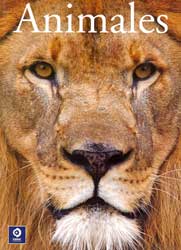 ANIMALES 1